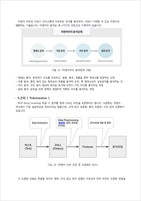 보고서12