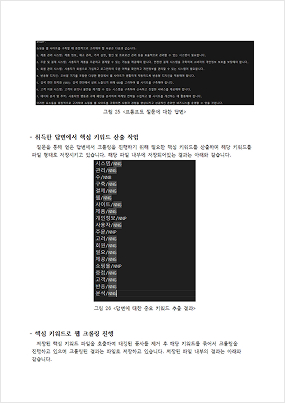 보고서21